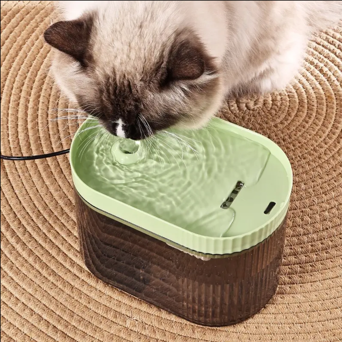 Fuente de agua para mascotas