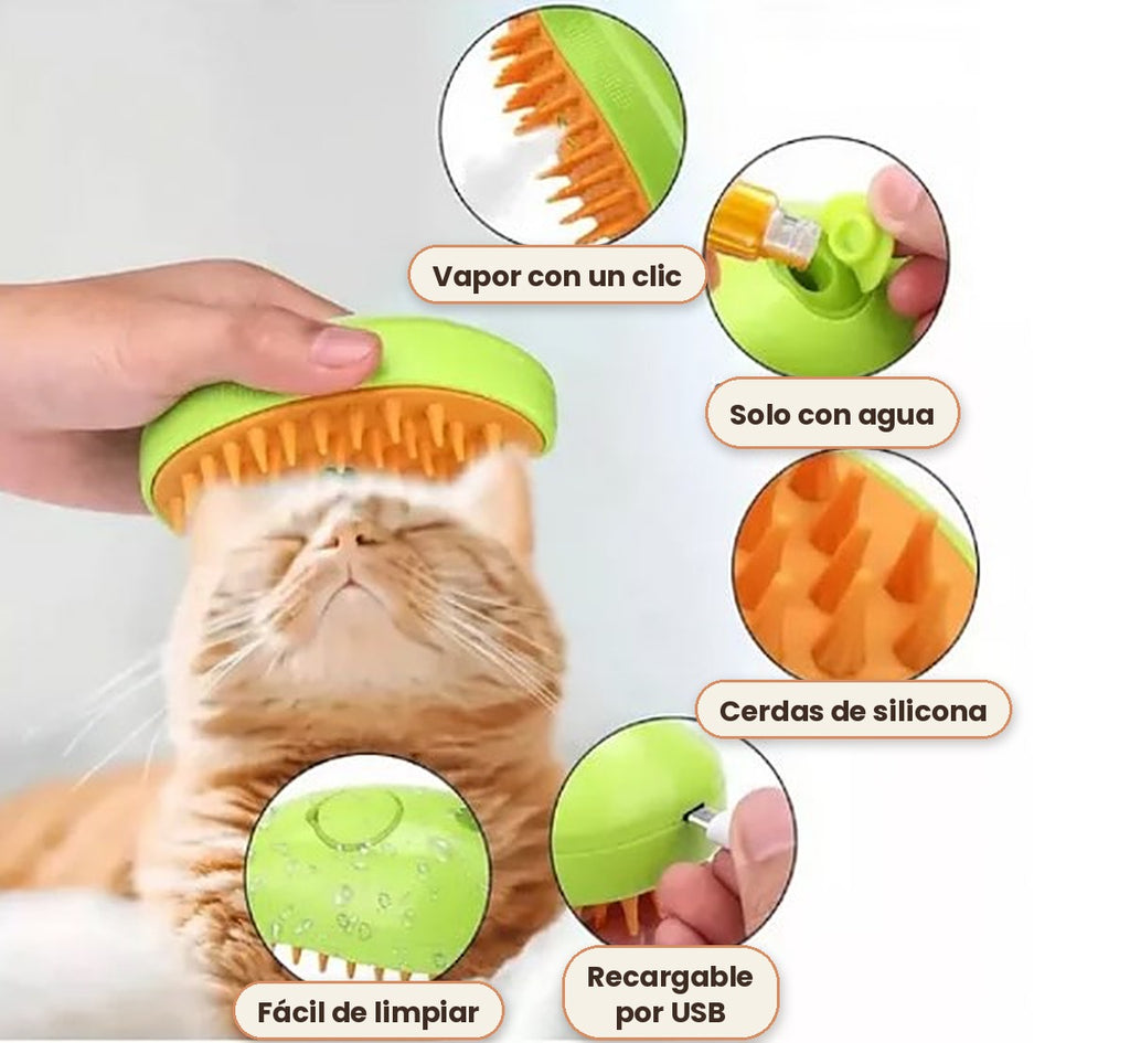 Detalles del cepillo vaporizador del kit