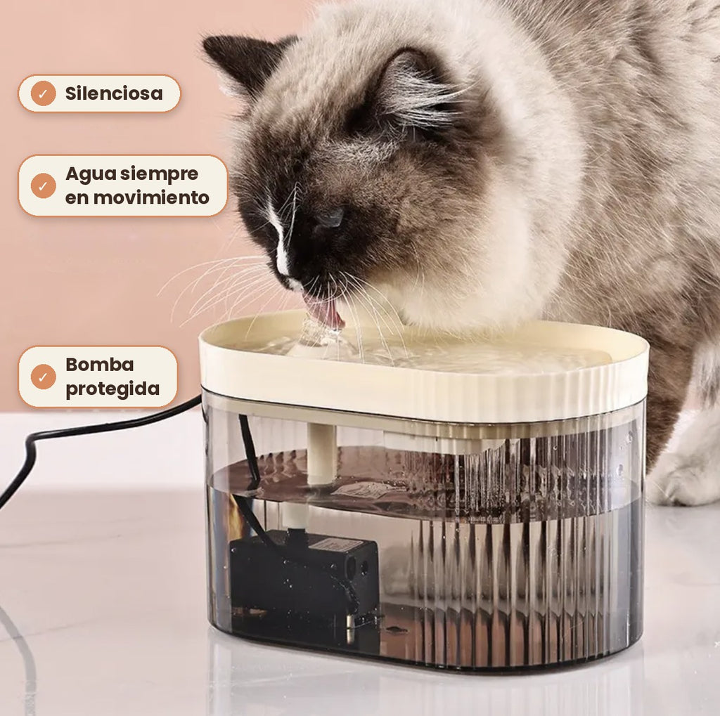 Gato tomando agua de la fuente silenciosa Peludín