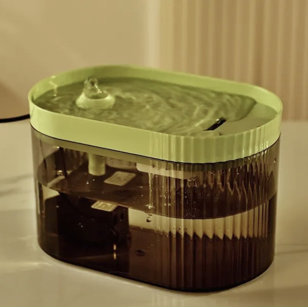 Fuente de agua para gatos en color verde